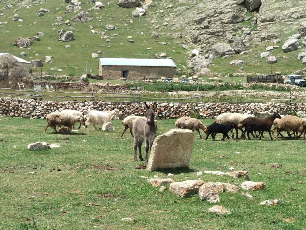 Mastargah Кемпинг